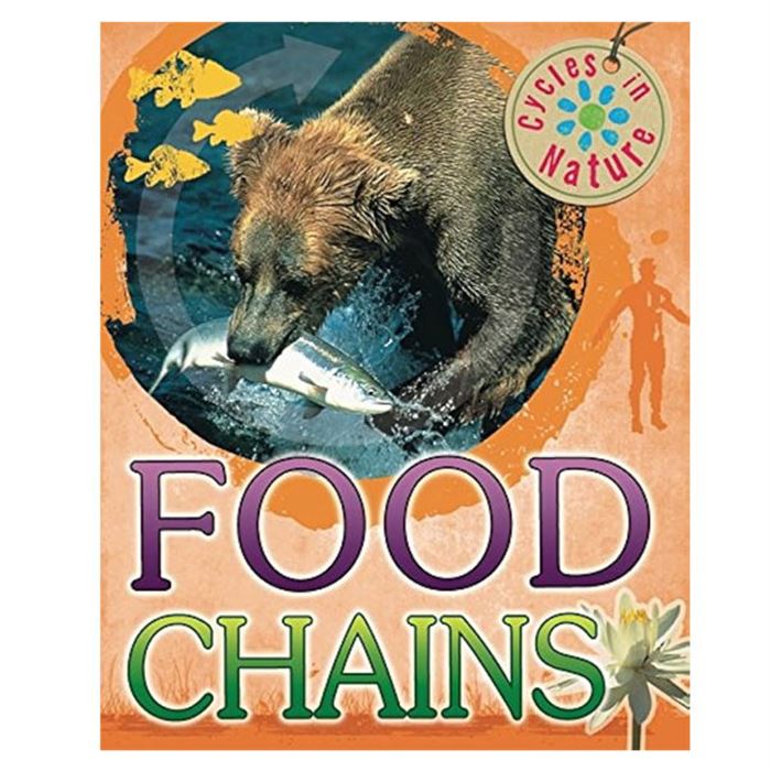 Cycles İn Nature Food Chains