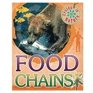 Cycles İn Nature Food Chains