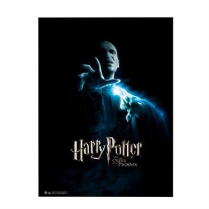 Wizarding World Poster H.Potter-Order of the Phonix V. 37567