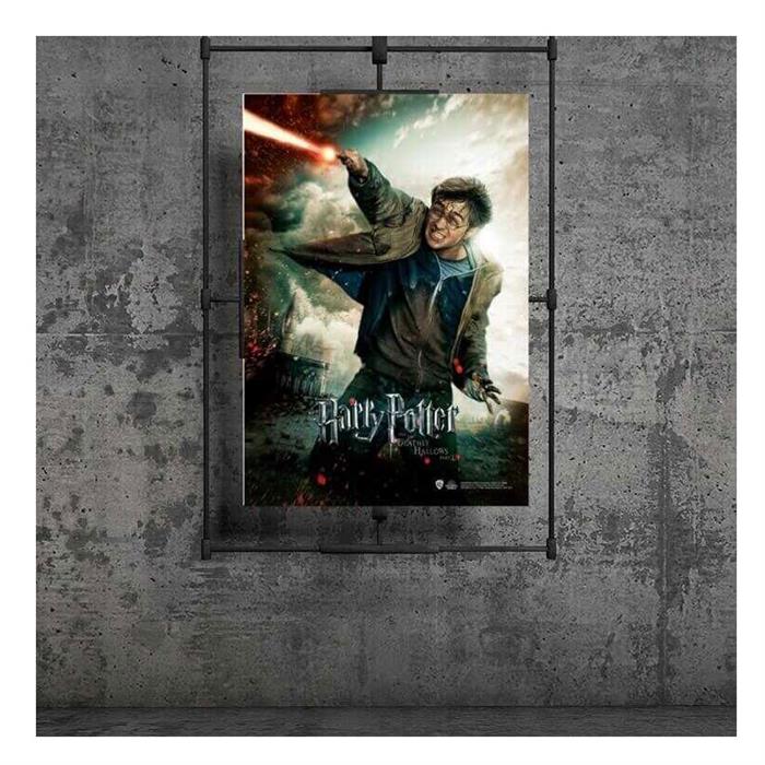 Wizarding World-Harry Potter Poster-Deathly Hallows Harry2 37753