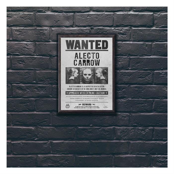 Wizarding World Poster Wanted Alecto Carrow B. 37515