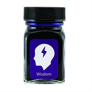 Monteverde Emotions Wisdom Purple 30 ml Şişe Mürekkep G309AM