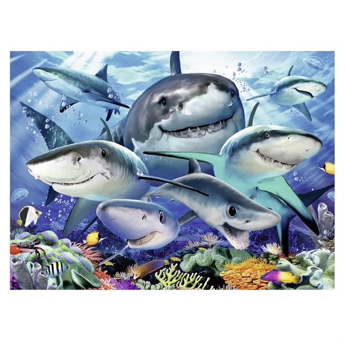 Ravensburger 300 Parça Puzzle Köpekbalıkları RPO132256