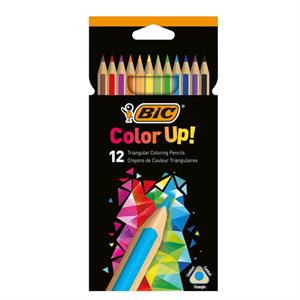 Bic Color Up Kuru Boya Üçgen 12 Renk 9505271