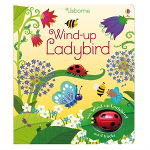 Wind up Ladybird Usborne