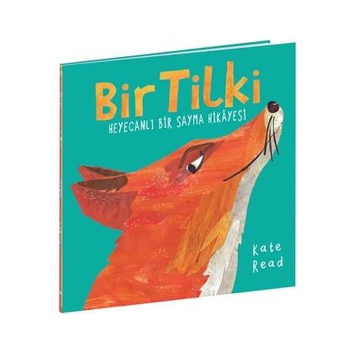 Bir Tilki Heyecanlı Bir Sayma Hikayesi Kate Read Beta Kids