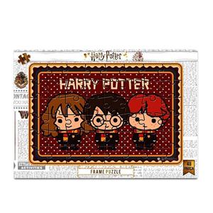 Harry Potter 48 Parça Frame Puzzle HP7611