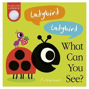 Ladybird! Ladybird! What Can You See? Little Tiger