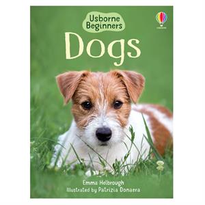 Beginners Dogs Usborne Publishing