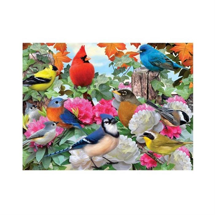 Ravensburger Bahçe Kuşları 500 Parça Puzzle Rpo142231