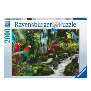 Ravensburger 2000 Parça Puzzle Renkli Papağanlar 171118