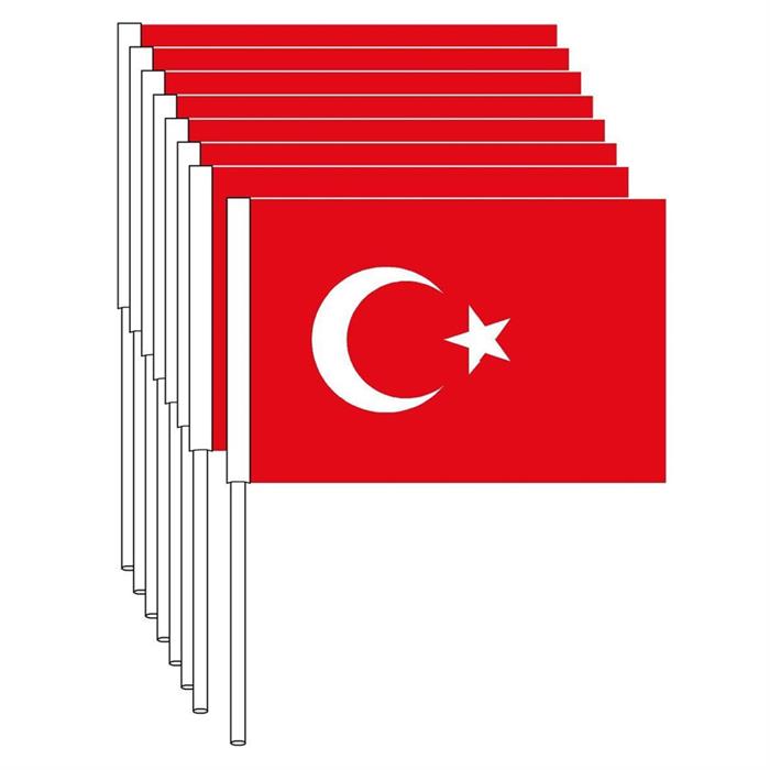 Vatan Türk Bayrağı Çıtalı Küçük Boy Tekli