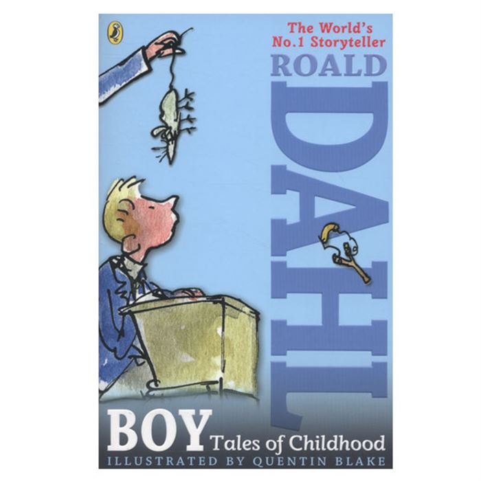 Boy Tales Of Childhood Road Dahl Puffin