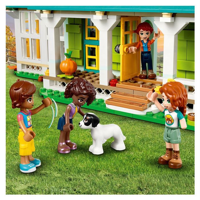 LEGO Friends Tbd Character House 41730