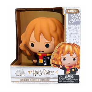 Harry Potter Koleksiyon Figürü Hermione Grander 7893-0212