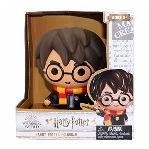 Harry Potter Koleksiyon Figürü Harry Potter 7893-0212